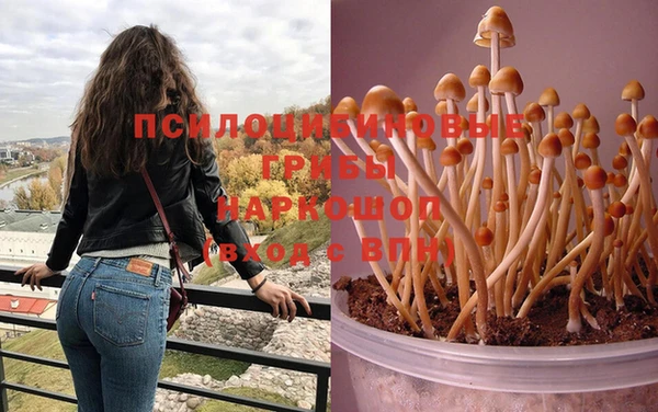 мяу мяу кристалл Бородино