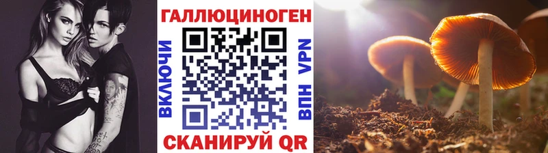 Галлюциногенные грибы Cubensis  Медвежьегорск 